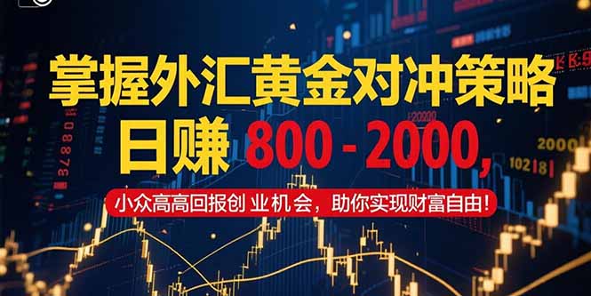 掌握外汇黄金对冲策略,日赚 800 - 2000,小众高回报创业机会,助你实...-生财