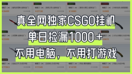 真全网独家CSGO挂G，单日捡漏1k+【揭秘】-生财
