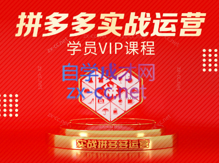 推易电商·拼多多实战运营课(更新2025月)-生财