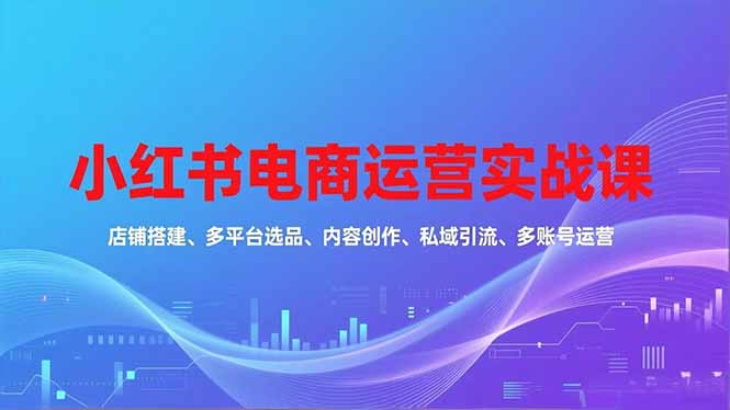 小红书电商运营实战课,店铺搭建、多平台选品、内容创作、私域引流、多账号运营等玩法-生财