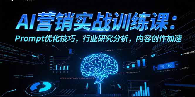 AI营销实战训练课：Prompt优化技巧，行业研究分析，内容创作加速-生财