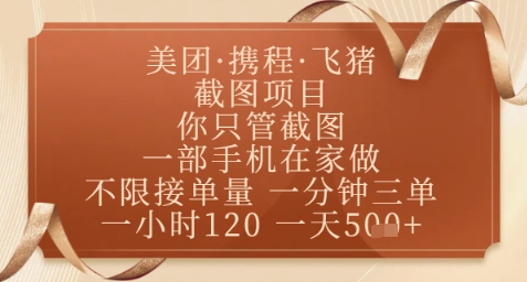 飞猪美团截图项目，你只管截图，一部手机在家做，正规平台无套路，一天5张+【揭秘】-生财
