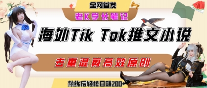 海外tiktok小说推文暴力项目,高停留率,高转化率,上手后一天搞顿饭钱不是问题-生财