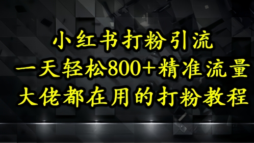 小红书打粉引流,一天轻松500+精准流量,大佬都在用的打粉教程-生财
