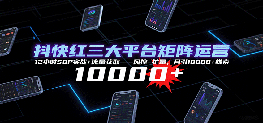 抖快红三大平台矩阵运营，12小时SOP实战+流量获取-风控-扩量，月引10000+线索-生财