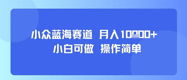 小众蓝海赛道，小白可做，操作简单，每天30分钟，月入1W+-生财