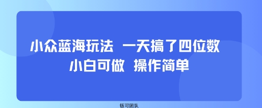 小众蓝海玩法 一天搞了四位数 小白可做 操作简单-生财