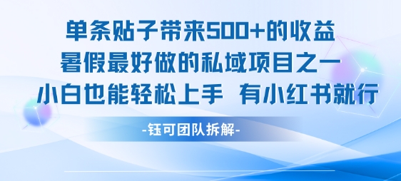 单条贴子带来5张的收益,暑假最好做的私域项目之一,小白也能轻松上手,有小红书就行-生财