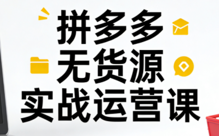 子枫老师·拼多多无货源实战运营课(更新12月)-生财
