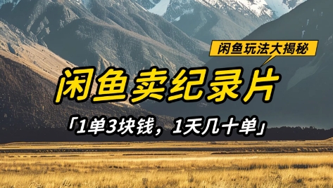 闲鱼卖纪录片1单3块钱,1天几十单,项目稳定有潜力-生财