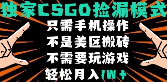 CSGO自动捡漏项目，最新独家玩法，不是美区搬砖，不需要了解和玩游戏，新手小白轻松月入1W+【揭秘】-生财
