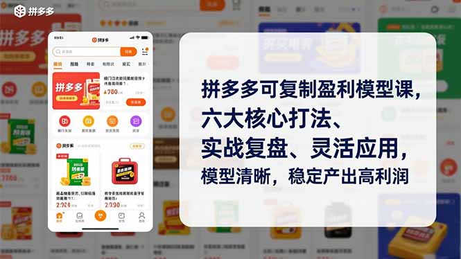 拼多多可复制盈利模型课，六大核心打法、实战复盘、灵活应用，模型清晰，稳定产出高利润-生财