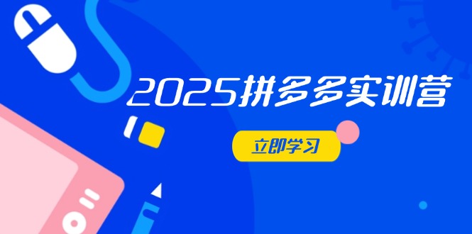 2025拼多多实训营:深度剖析运营关键,助力电商人快速提升-生财