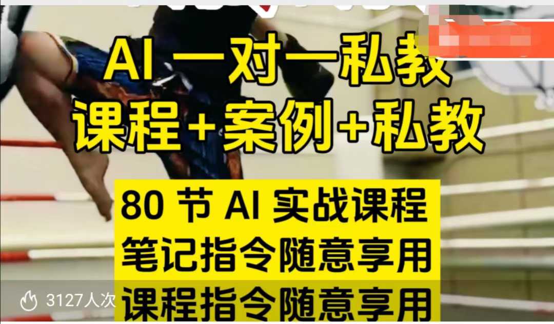 AI指令实战课,课程+案例,80节AI实战课程,笔记指令随意享用,课程指令随意享用(更新7月)-生财