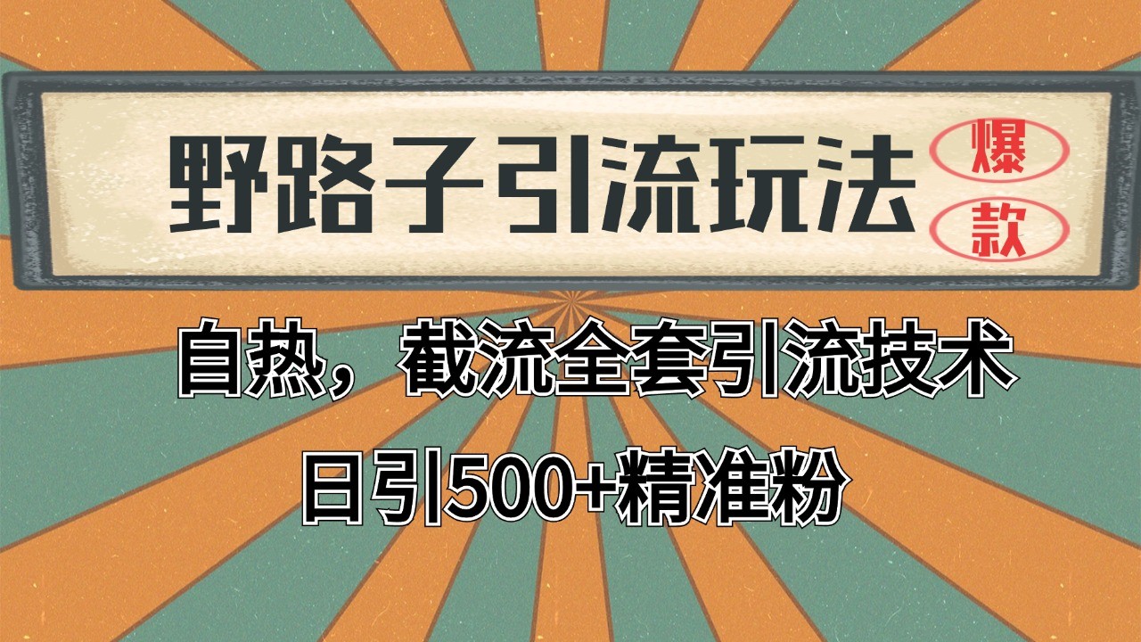 2024首发野路子引流玩法截流自热全平台打法,全自动引流【日引2000+精准客户】-生财