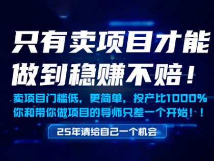 只有卖项目才能做到稳挣不赔,门槛低,更简单,你也可以年入百个W【揭秘】-生财