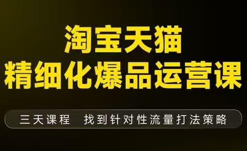 猫课子幽·淘宝天猫精细化爆品运营【音频+字幕+文档】(9月12-14杭州线下课)-生财