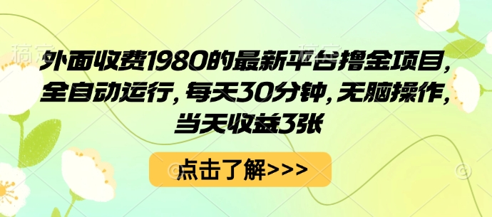 外面收费1980的最新平台撸金项目，全自动运行，每天30分钟，无脑操作，当天收益3张【揭秘】-生财