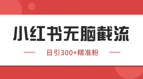 小红书截流同行客源,独家野路子获客玩法 日引200+暴力获客【揭秘】-生财