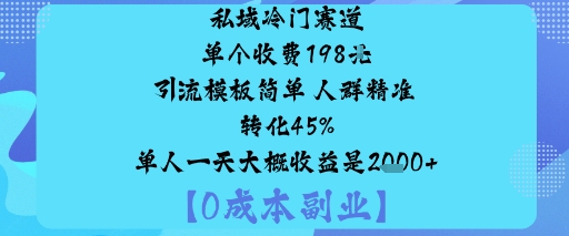 私域冷门赛道:单个收费198米引流模板简单人群精准转化45%单人一天大概收益是1k+-生财