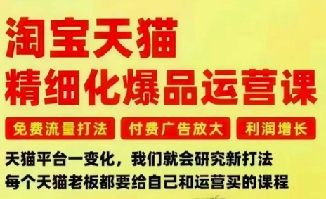 淘宝天猫精细化爆品运营课,免费流量打法-付费广告放大-利润增长-三大核心痛点,一次全部解决-生财