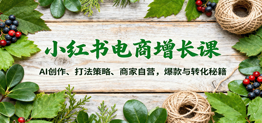小红书电商增长课：AI创作、打法策略、商家自营，爆款与转化秘籍-生财