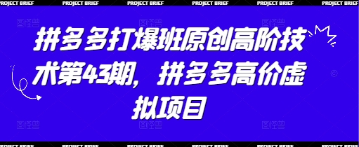 拼多多打爆班原创高阶技术第43期,拼多多高价虚拟项目-生财