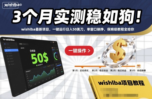 3个月实测稳如狗!wishlba最新项目,一键运行日入50美刀,单窗口躺挣,保姆级教程全给你【揭秘】-生财
