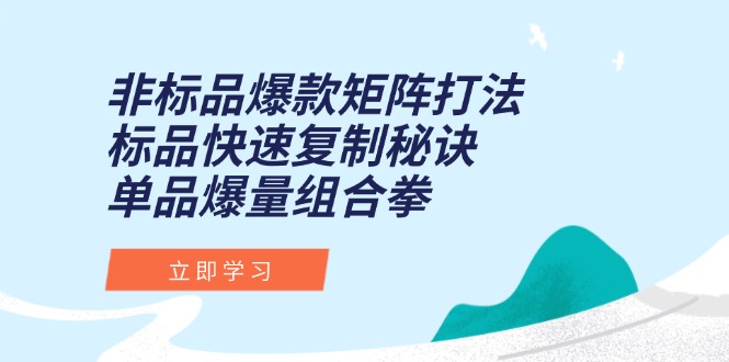非标品爆款矩阵打法，标品快速复制秘诀，单品爆量组合拳-生财