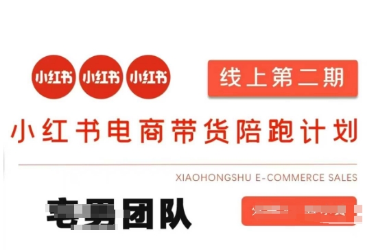 小红书电商带货课2期,月利润20个的小红书电商的有货源,无货源,虚拟产品,付费投流等整套玩法-生财