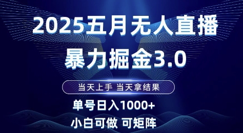 2025五月无人直播暴力掘金3.0,当天上手,当天拿结果,单号日入1k+小白可做可矩阵【揭秘】-生财