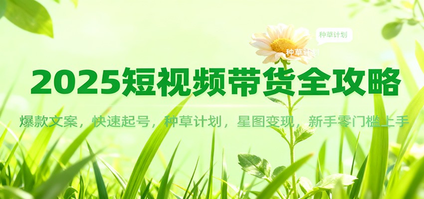 2025短视频带货全攻略：爆款文案，快速起号，种草计划，星图变现，新手零门槛上手-生财
