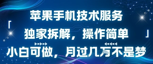 苹果手机技术服务，独家拆解，操作简单，小白可做，月过1W不是梦-生财