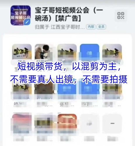 宝子哥头部团队短视频带货,以混剪为主,不需要真人出镜,不需要拍摄【更新11月】-生财