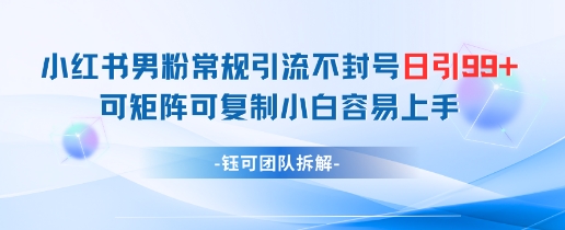 小红书男粉常规引流不封号日引99+变现简单 可矩阵可复制小白容易上手-生财