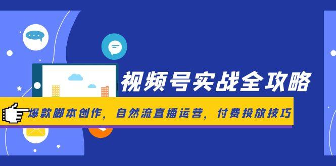 视频号实战全攻略,爆款脚本创作,自然流直播运营,付费投放技巧-生财