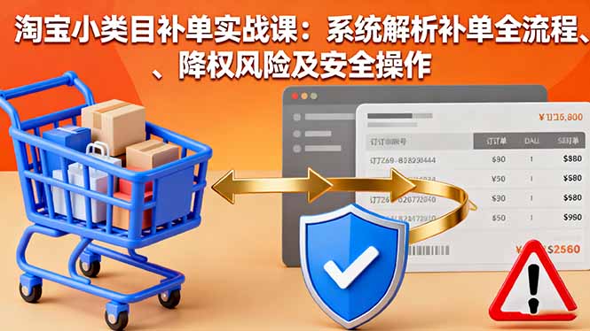 淘宝小类目补单实战课：系统解析补单全流程、降权风险及安全操作-生财