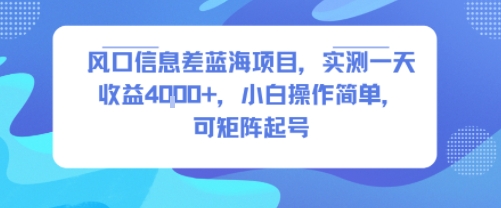 风口信息差蓝海项目，实测一天收益4k+，小白操作简单，可矩阵起号-生财
