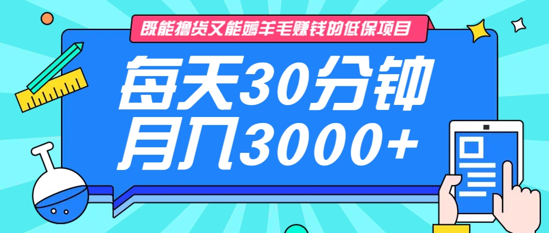 既能撸货又能赚钱的长期低保项目，每天30分钟，多号百分百稳定月入3000+！-生财