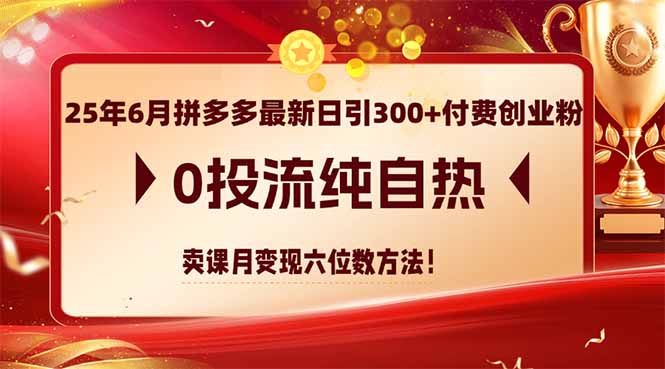 25年6月拼多多最新日引300+付费创业粉，0投流纯自热 卖课月变现六位数方法-生财