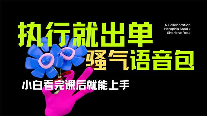 爆火全网的开车导航骚气语音包,只要执行就出单，小白看完课程就能实操…-生财