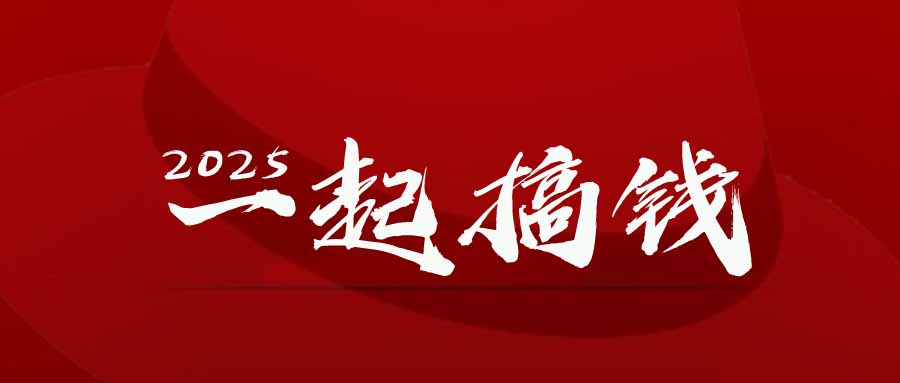 2025年,请“不择手段”去搞钱!-生财