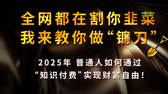 全网都在割你韭菜,我来教你做镰刀,2025普通人如何通过知识付费,实现财F自由【揭秘】-生财